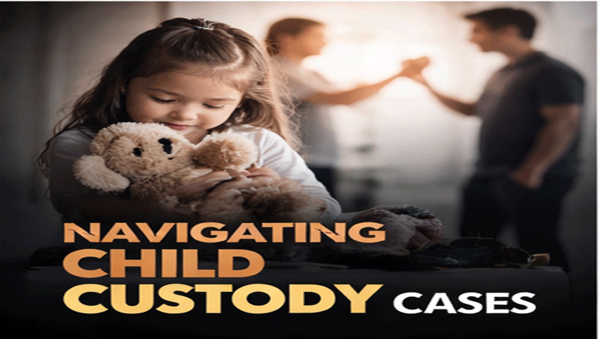 Efficient Resolution of Divorce and Child Custody Dispute